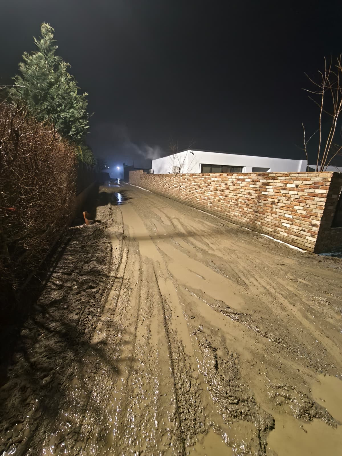 GALERIE FOTO -- Rediu, capitala glodului. Bătaie de joc cu acte în regulă, la câțiva kilometri de Iași