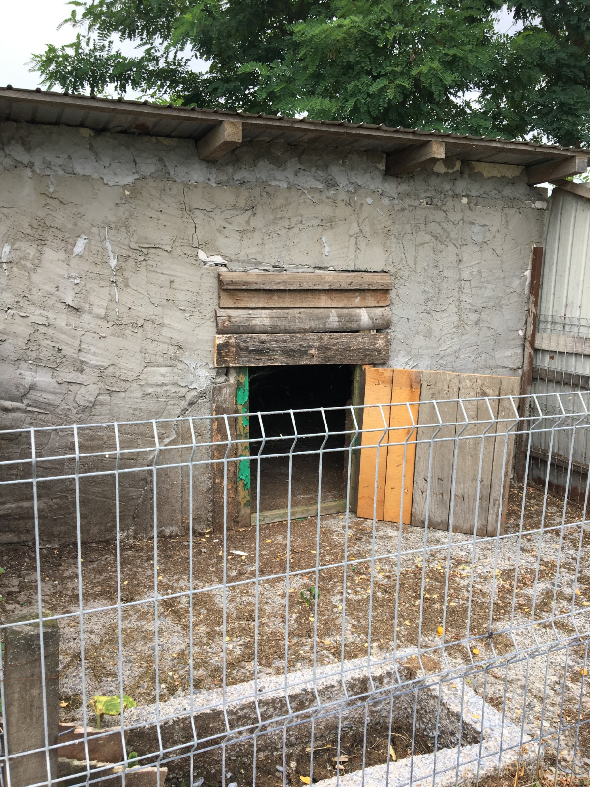 Vand casa in Viisoara Mica