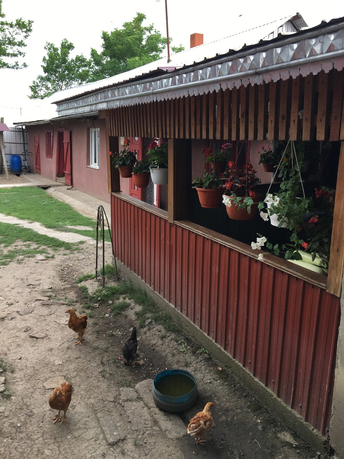 Vand casa in Viisoara Mica