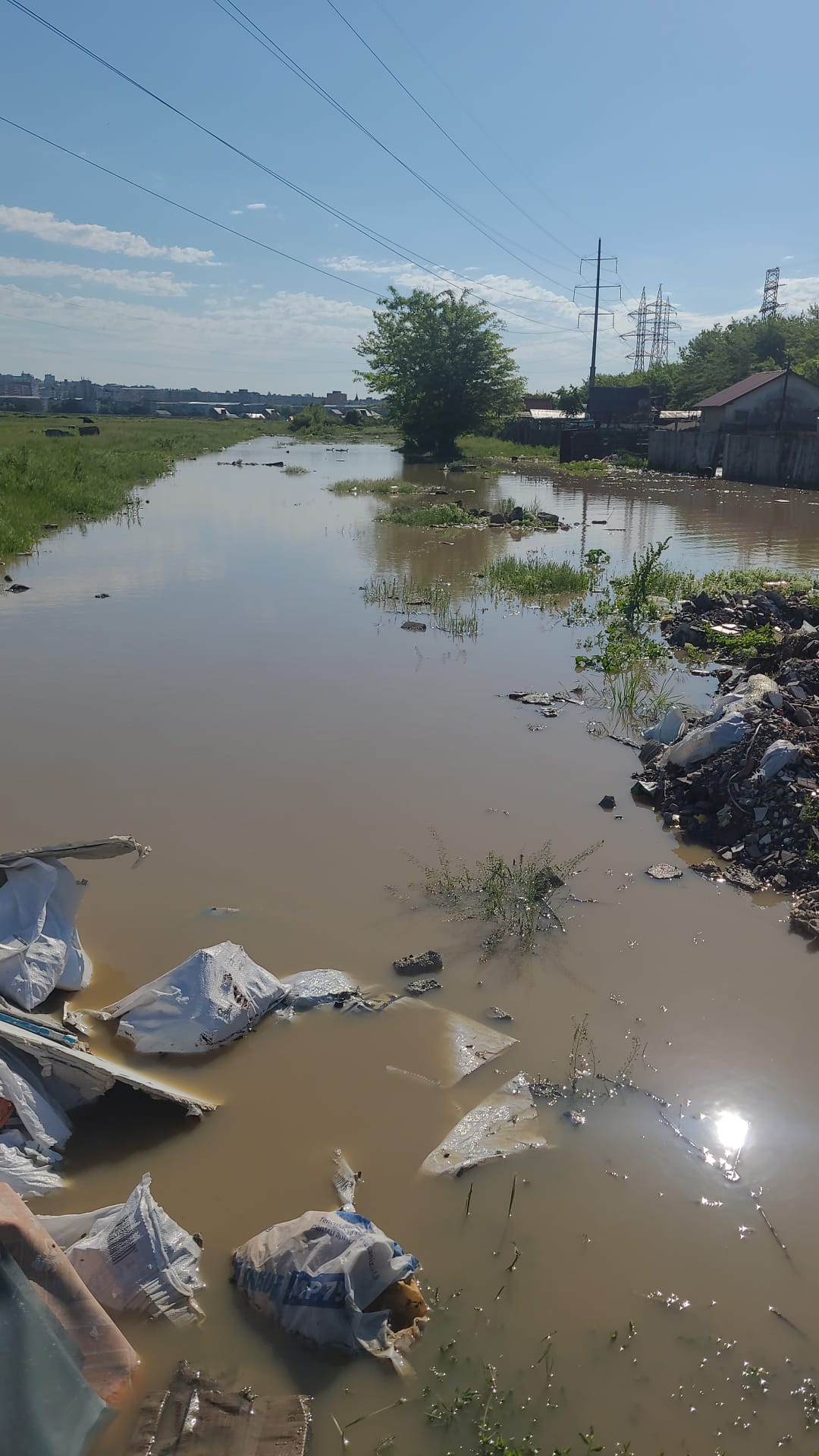 Potop peste Iași! Pompierii intervin în mai multe zone după ploile torențiale care au inundat străzi și curți