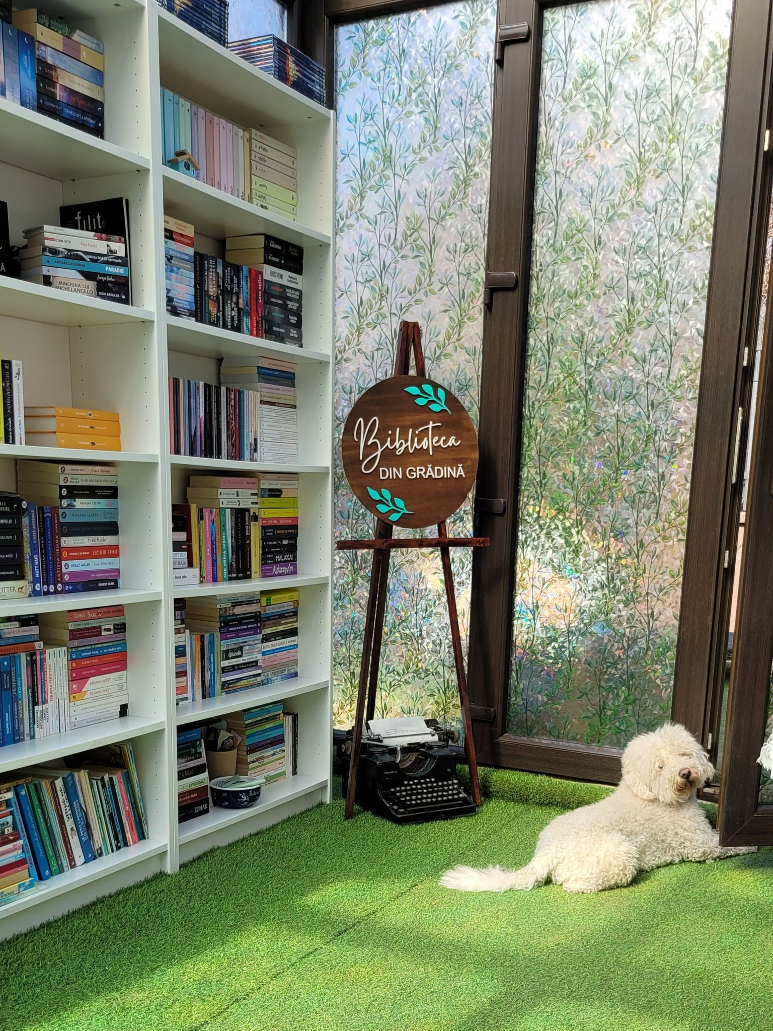 La Iași s-a deschis prima bibliotecă privată