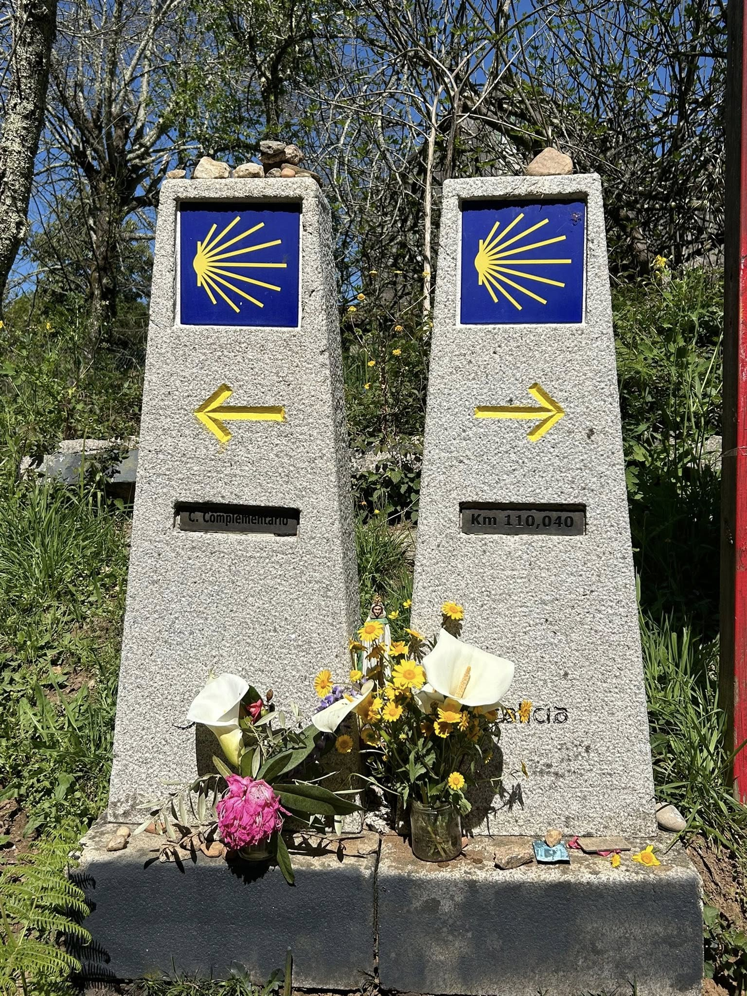 O ieșeancă și-a găsit casă pe Camino, după drumuri care au schimbat-o