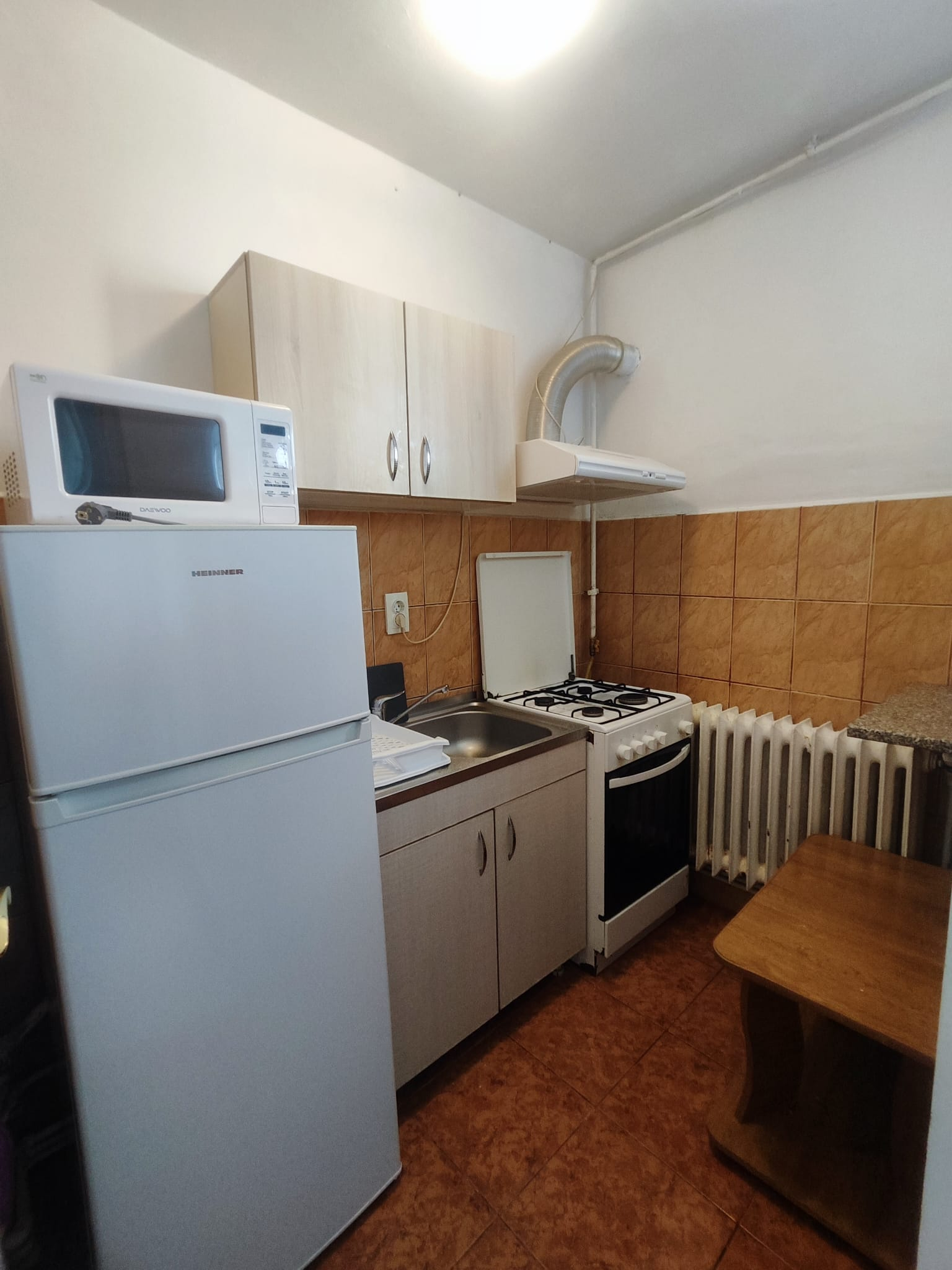 Garsoniera Tatarasi - Flora fix in statie , poze reale , CENTRALA PROPRIE 