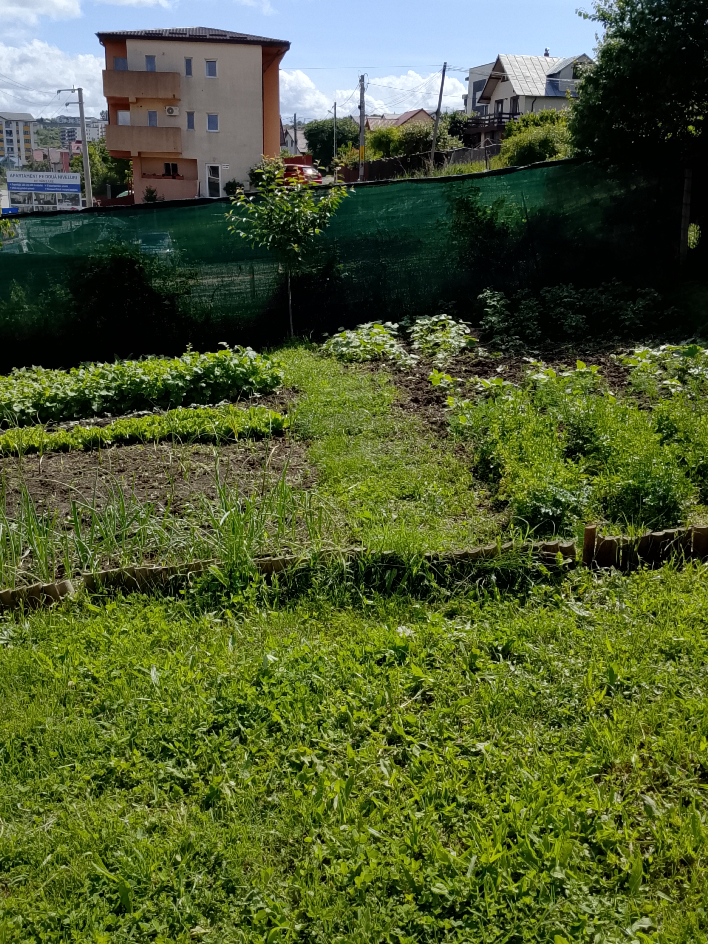 Persoană fizică vând o jumătate de duplex in Iași -Bucium la 600mde Podul Bularga