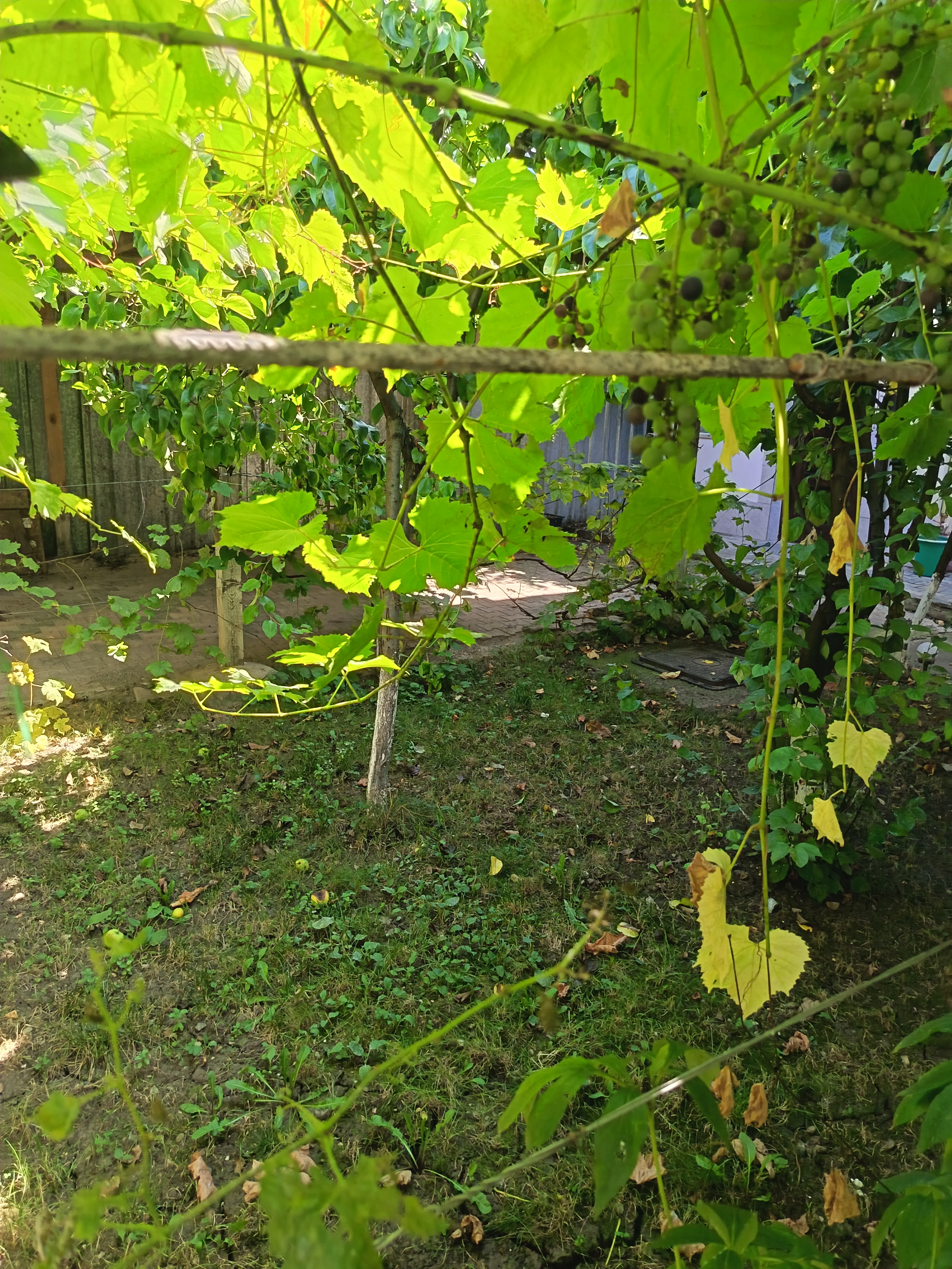 ÎNCHIRIEZ APARTAMENT LA PARTER CU 3 CAMERE LA VILĂ - 70 mp -  zona  GALATA (LIDL / OXIGEN / PLAJA NICOLINA)