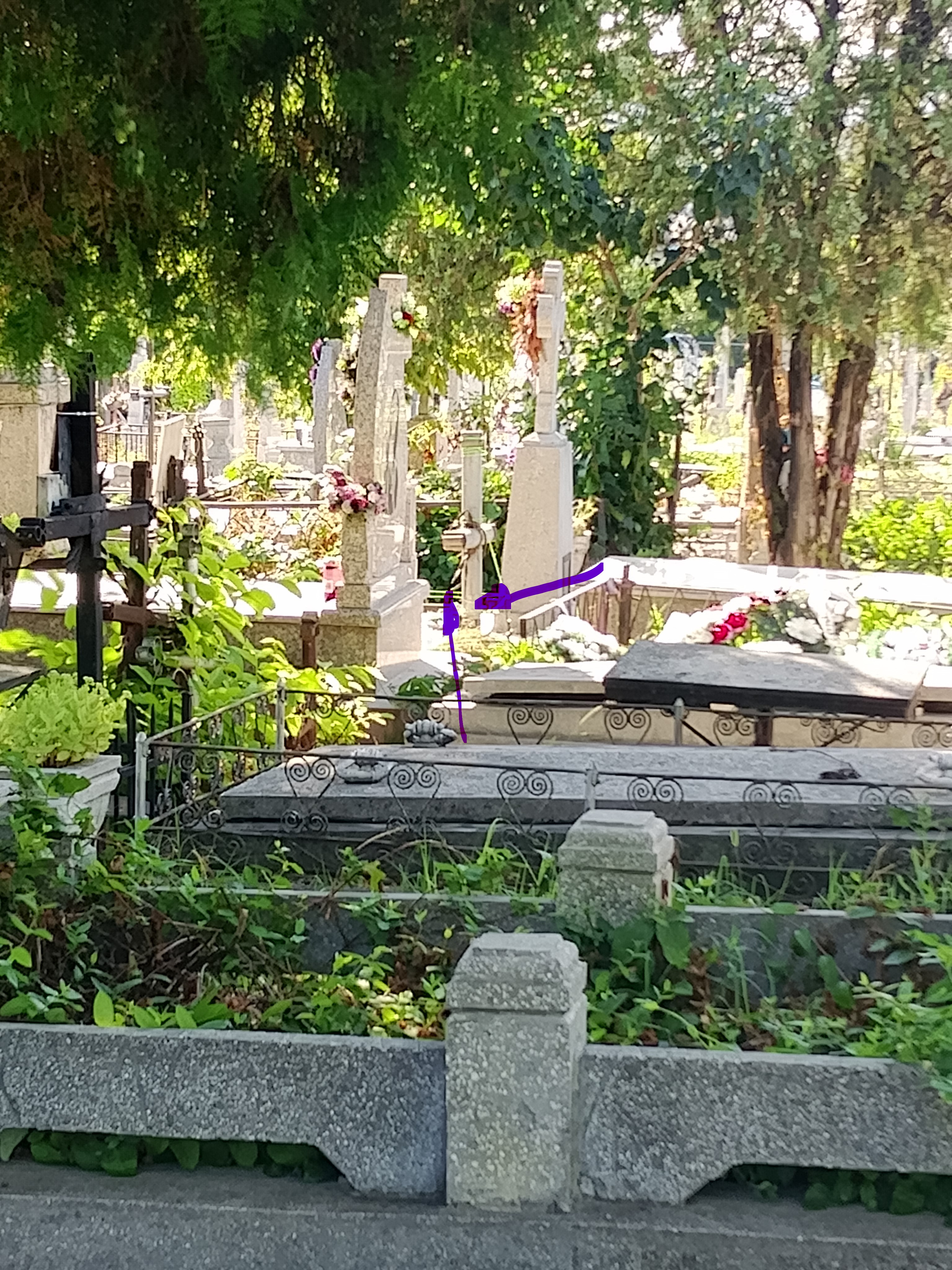 Vand loc de veci in Cimitirul Sfantul Vasile, Iasi, parcela 1/II.