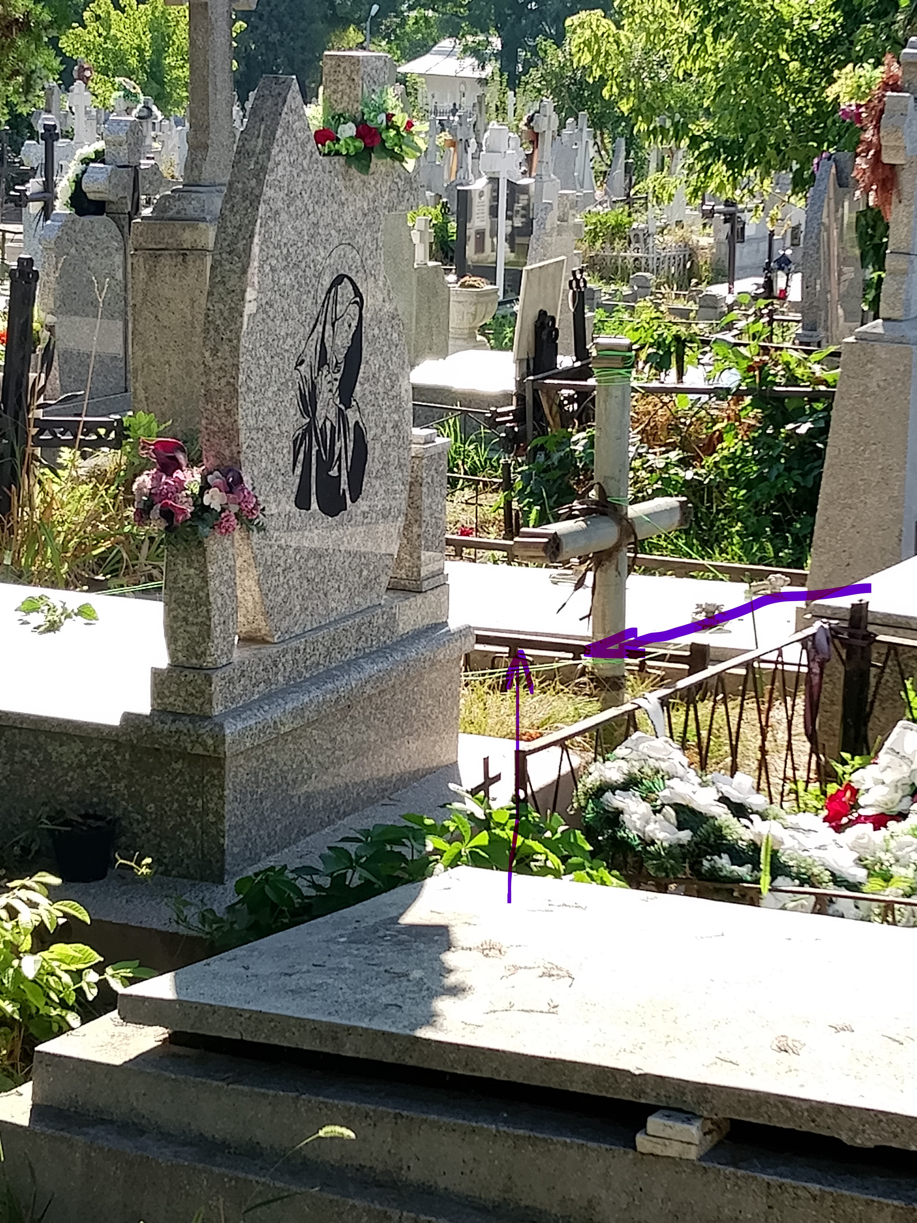 Vand loc de veci in Cimitirul Sfantul Vasile, Iasi, parcela 1/II.