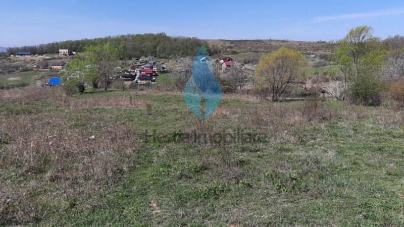 1309mp teren intravilan pentru constructii, Barnova.