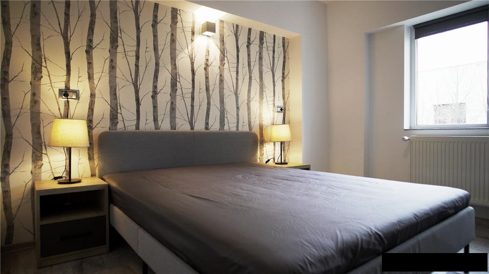 3 Camere Centru - Palas 