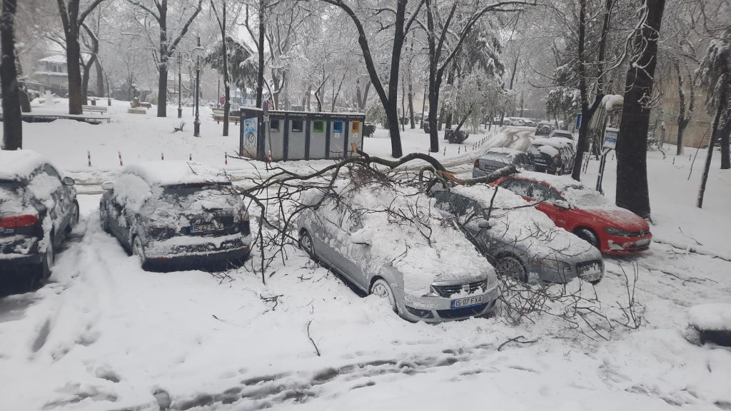 Ninsorile au închis Centura Iaşului şi alte 19 drumuri judeţene!