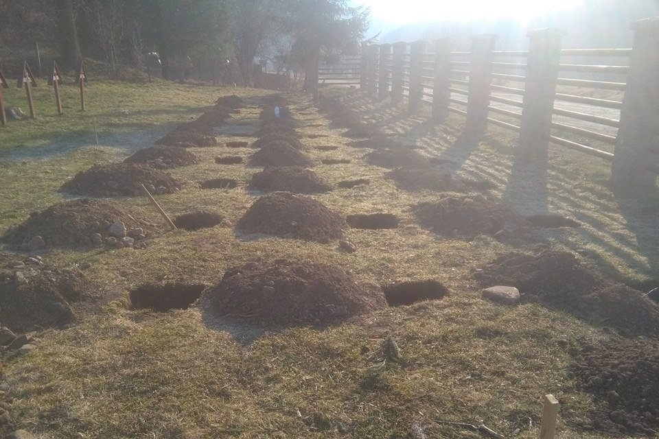  Conflict administrativ între Bacău şi Harghita
