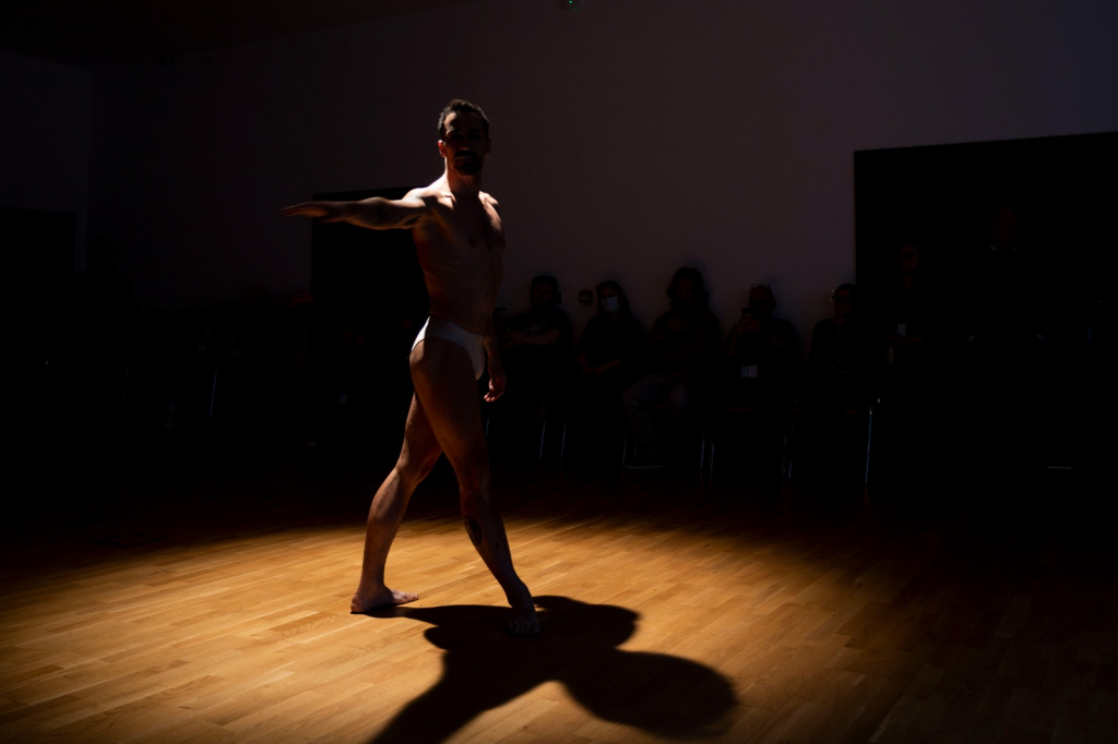 HazarDance 2025 electrizează Iașul. Flamenco, dans contemporan și acrobații care provoacă Bestia interioară