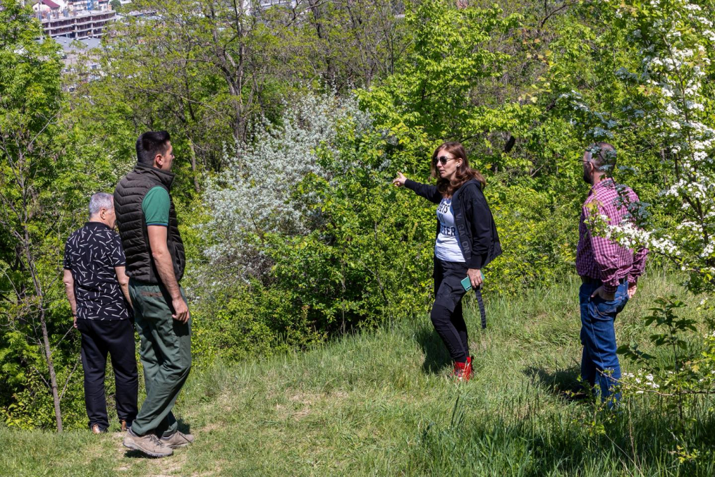 Primii pași spre noul Parc Ecologic din Pădurea Cetățuia