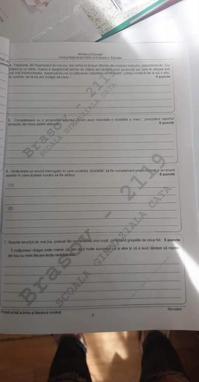 Simulare la Evaluarea Națională 2021. Subiectele la proba de limba și literatura română