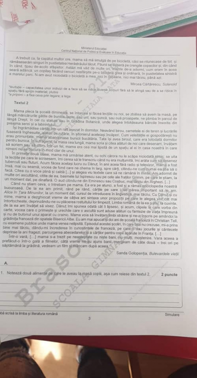 Simulare la Evaluarea Națională 2021. Subiectele la proba de limba și literatura română