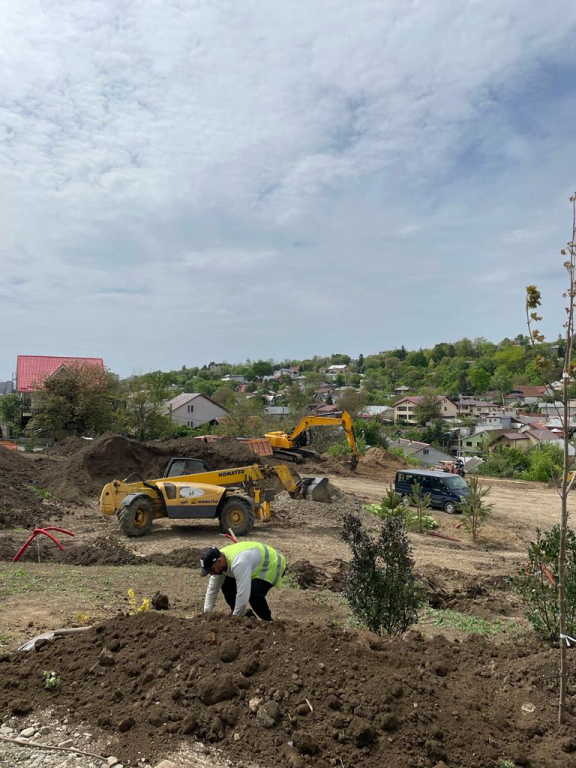 Au apărut primii copaci în zona de agrement CA Rosetti