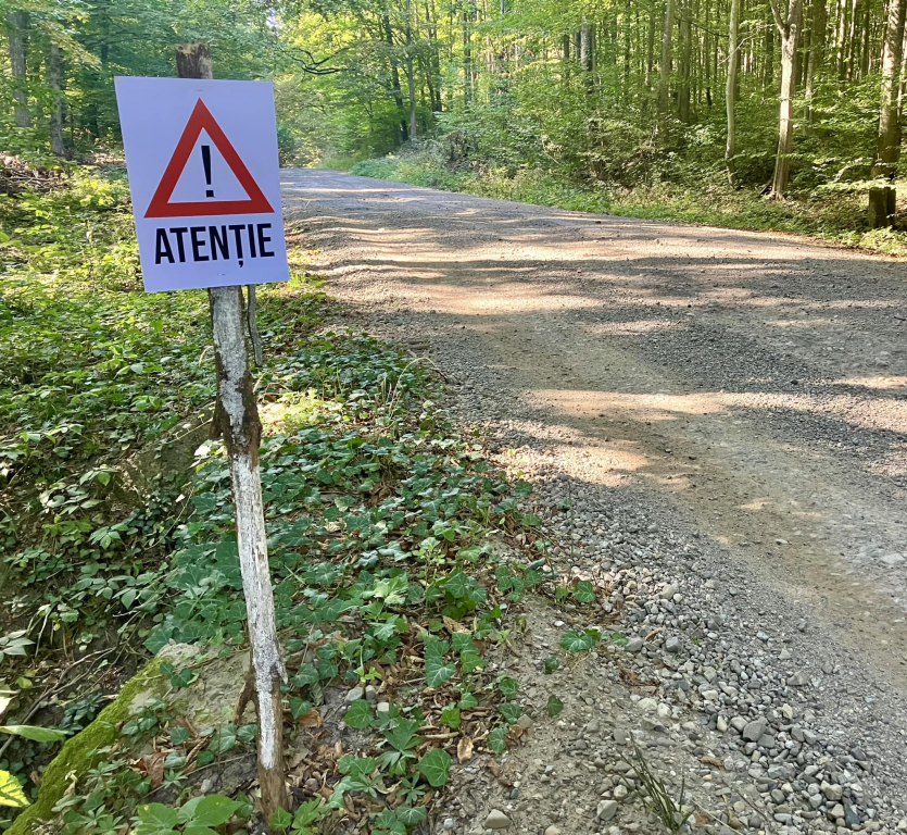 Raliul Iaşului a trecut, indicatoarele au rămas!
