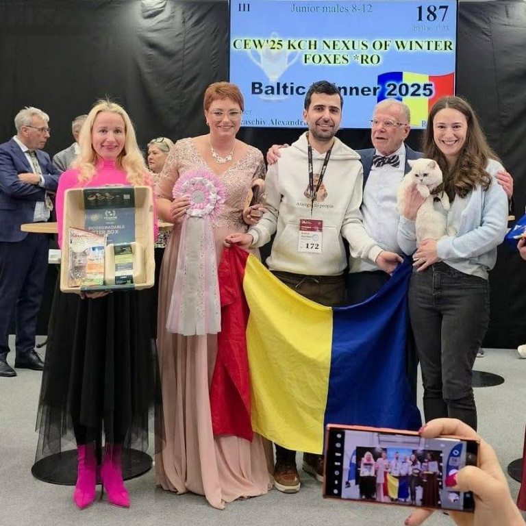 Trei pisici născute în România, în topul elitei mondiale