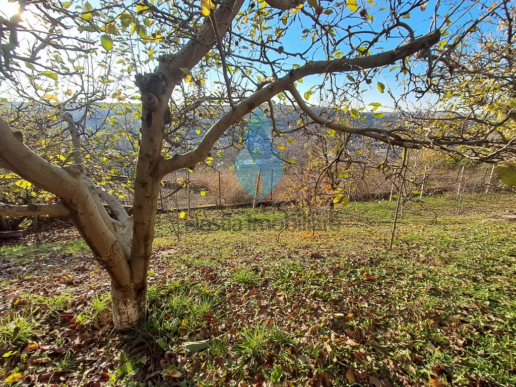 Vila eleganta P+E+M si 1025mp teren, Bucium-Iasi.