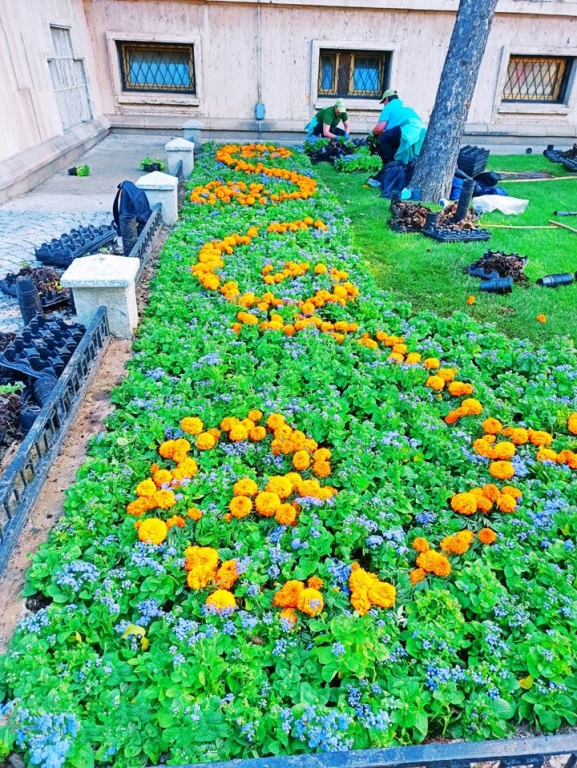 În Iaşi vor fi plantate peste 800.000 de flori