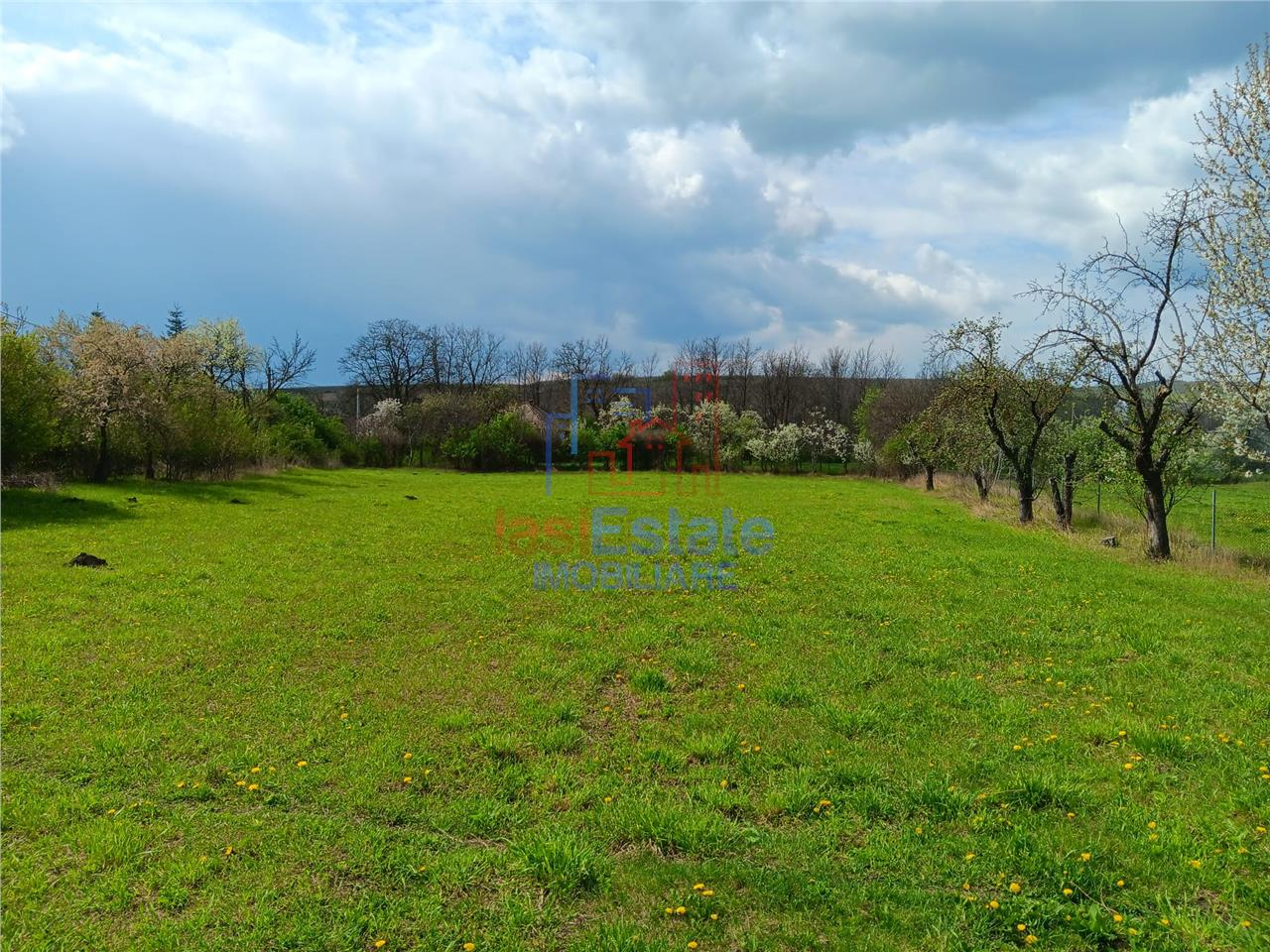 Badeni com Scobinti Iasi Teren 4239mp parcelabil si constructii 245mp