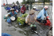  Furtuna tropicală a făcut dezastru în Vietnam - șase persoane au murit și alte 100 au fost rănite