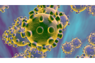 Coronavirusul a suferit șapte mutații