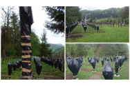  Primăria Dărmănești a pierdut definitiv Cimitirul de la Valea Uzului