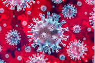 Coronavirus – În doar 24 de ore, Franța a raportat 45.000 de îmbolnăviri, iar Marea Britanie – peste 23.000