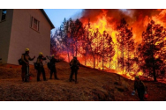 VIDEO - Incendii violente în California. Peste 90.000 de persoane au fost evacuate