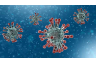 Virusul SARS-COV-2 are peste 12.000 de mutații