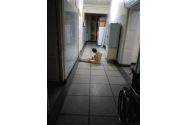 Imagini de COȘMAR la spitalul din Reșița - pacienți goi pe holuri, un mort într-un sac de plastic într-un salon