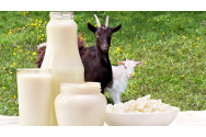 Laptele de capră folosit în tratarea COVID-19