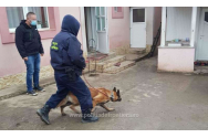 28 de percheziții la contrabandiștii de țigări din Botoșani