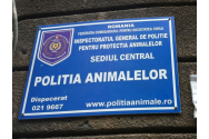 Poliția Animalelor Iași scoate la concurs șase posturi