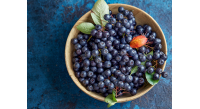 aronia-berries-732x549-thumbnail-732x549