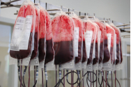 Primăria a plătit peste 204.000 lei pentru donatorii de sânge și plasmă
