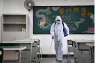 Cutremur în China - Experții OMS vor investiga originea coronavirusului