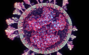 FOTO Cum arata coronavirusul in 3D. Cercetatori din Austria au realizat imaginea dupa mostre inghetate