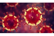 Slujba de Bobotează, sursa infectării în masă cu nou coronavirus într-o comună din Botoșani