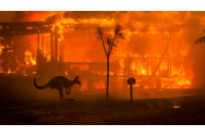 Australia arde din nou. Incendiile au afectat zeci de case de la periferia oraşului Perth