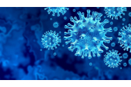 Numărul infectărilor cu noul coronavirus, în creștere la Havârna. Comuna este deja în carantină