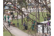 GALERIE FOTO - Armata de măturători a luat cu asalt Parcul Junimii