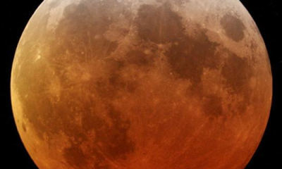 VIDEO Roverul Perseverance a parcurs primii metri pe Marte
