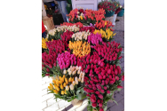 GALERIE FOTO - Prețuri exorbitante la flori în piețele Iașului