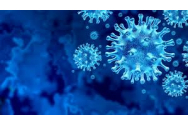 Au apărut primele două cazuri de infectare cu tulpina braziliană a SARS-COV-2