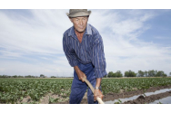  Iașul are cei mai mulți pensionari agricultori din țară