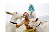 FOTO/VIDEO - Cum poți să faci surfing cu o capră