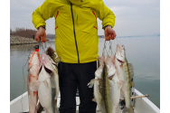 Somnul, șalăul, știuca și crapul din Delta Dunării nu se vor mai putea pescui. Cele patru specii au devenit protejate