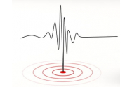 Cutremur cu magnitudinea 4,5 în zona Vrancea, resimțit și în București